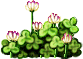 花簇